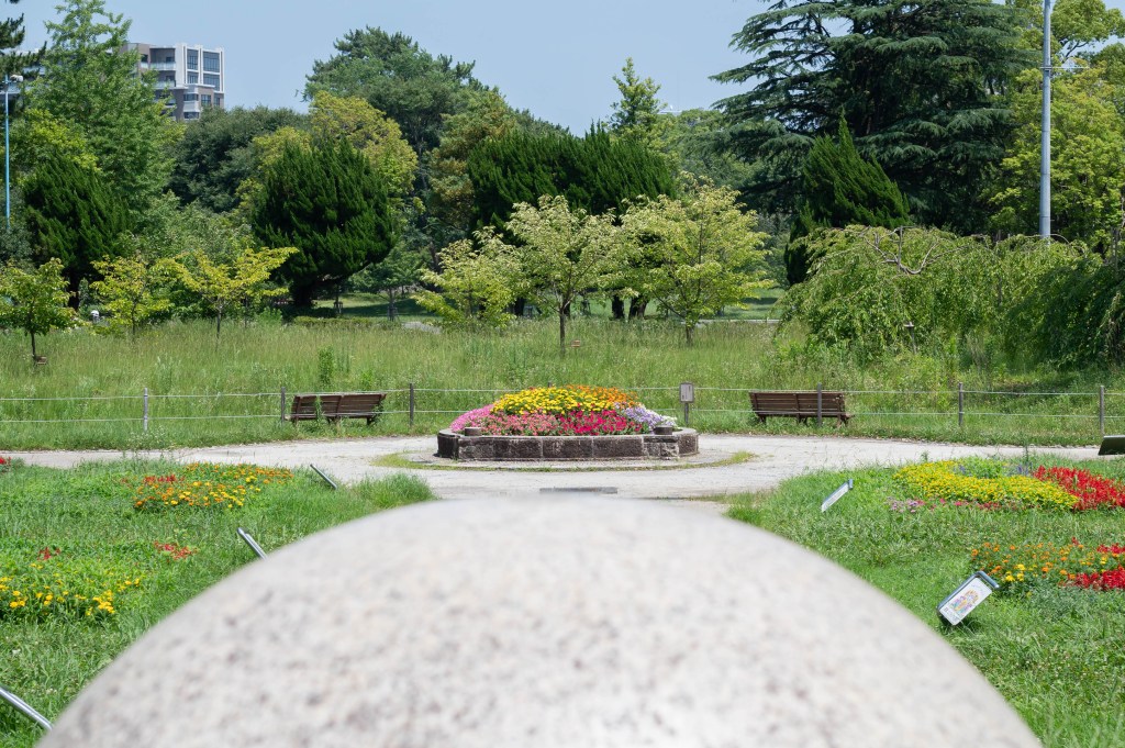 花壇を60mm縦構図縛りで撮影してきました