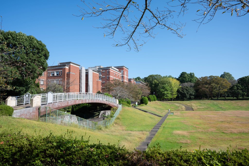 静岡県立大学前の広場！（芝生園地）