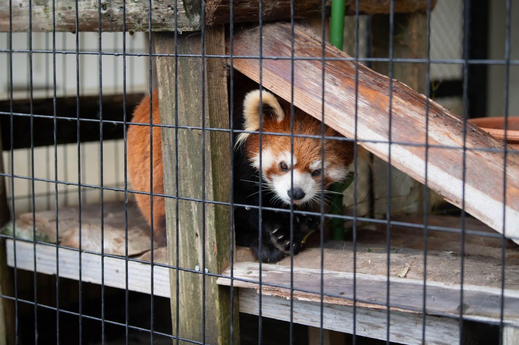 店舗の夏休みは8月12〜14日となります!&専務の夏休みは釧路市動物園へ!