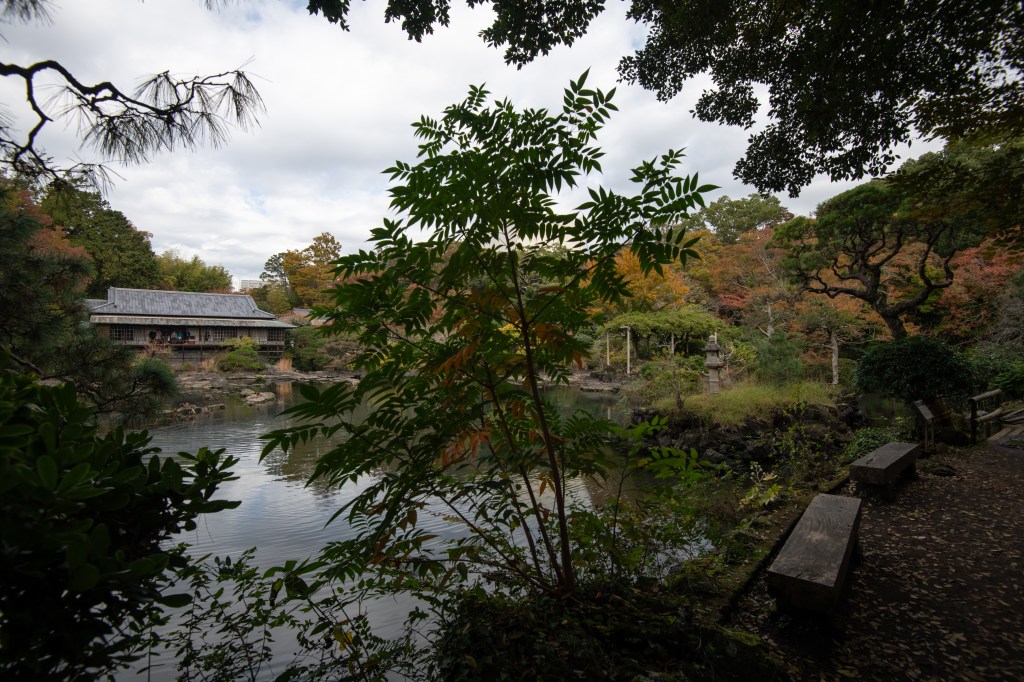 三島駅徒歩2分の楽寿園！